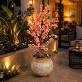 Decorative Indoor Plant With Ornate Fiber Planter