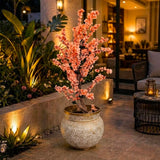 Decorative Indoor Plant With Ornate Fiber Planter