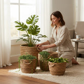 Home Sajawat handwoven seagrass storage basket set with wooden bead accents, styled with indoor plants in a living room.