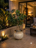 Home Sajawat decorative indoor plant in an ornate, embossed metal planter with a weathered antique finish on a patio.