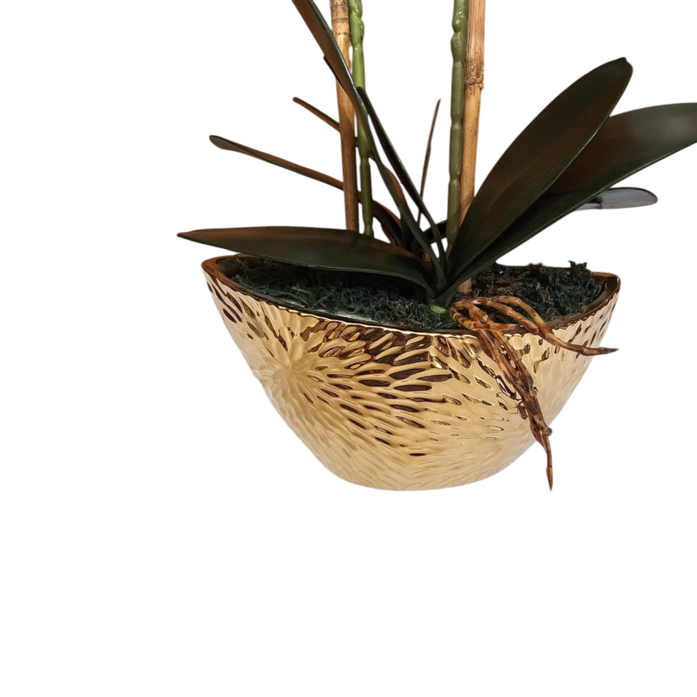Home Sajawat artificial Phalaenopsis orchid with white silk blooms in a textured gold-toned ceramic pot