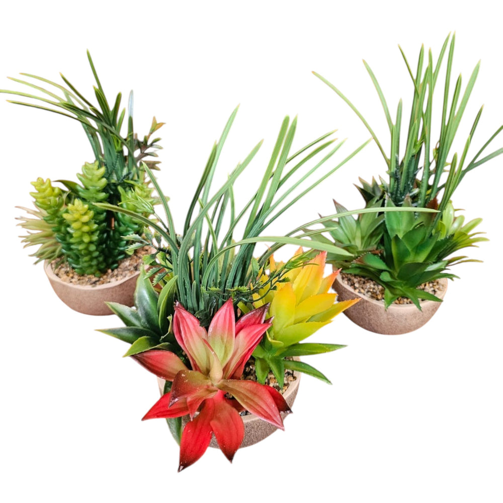 Home Sajawat set of three artificial succulent and grass arrangements in small beige pots on a wooden floor
