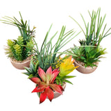 Home Sajawat set of three artificial succulent and grass arrangements in small beige pots on a wooden floor