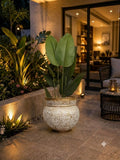 Home Sajawat decorative indoor plant in an ornate embossed metal planter with an antique weathered finish on a patio.