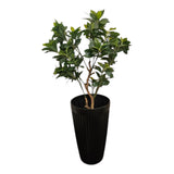 Home Sajawat tall faux plant with green leaves in a ribbed black planter. Realistic artificial foliage.