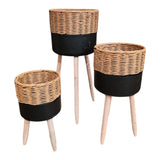 Home Sajawat set of three woven rattan planters with matte black bases and light wood legs. Varying heights.